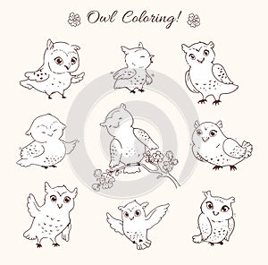Owls coloring page, cute birds