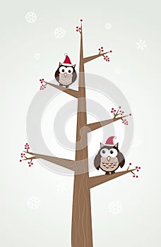 Owls couple in christmas hats on the tree branch.