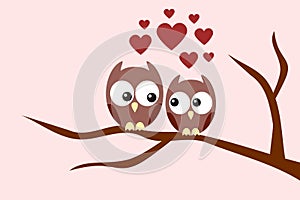 Owls couple in love