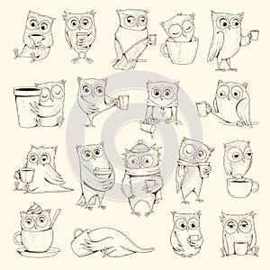 Owls with cup. Sleep concept birds characters sitting on coffee cups vector illustrations