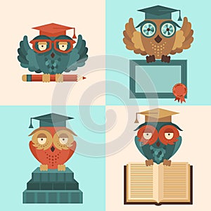 Owls in graduation caps set flat