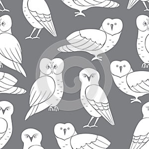 Owls on grey background. Vector seamless pattern photo