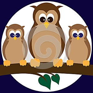 Owls on a Limb