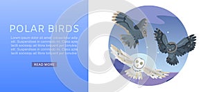 Owls, night sky with flying bird and moon over landmark vector illustration web banner.