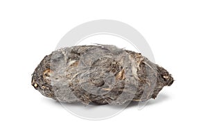 Owls pellet photo