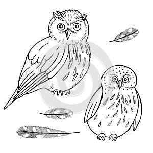 Hand drawn birds. Vector illustration photo