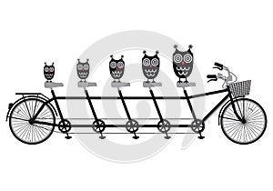 Owls on tandem bicycle, vector