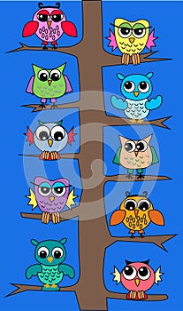 Owls in a tree