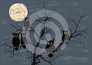 Owls on a tree