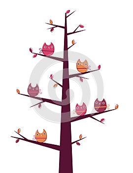 Owls tree