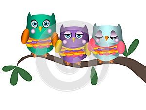 Owls on tree branch