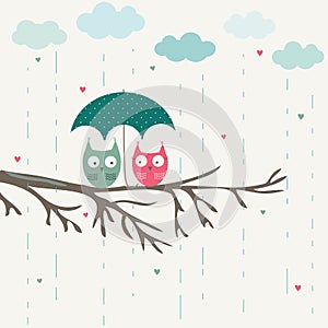 Owls under umbrella
