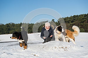 Owner with Berner Sennenhund and Saint Bernhard dog