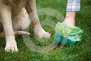 Owner Clearing Dog Mess With Pooper Scooper