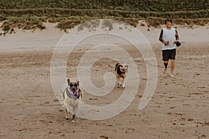 Owner and dogs run along a quiet beach