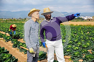 Owner of the farm field tells hired worker what to do