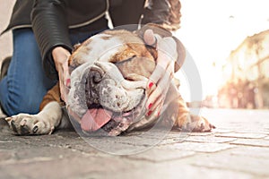 Owner gently caressing her dog in an urban place