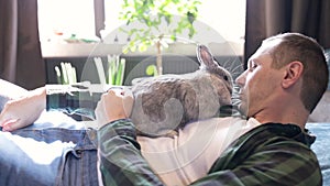 owner holds the rabbit in his arms and strokes. cute video. Home pet. Love to the animals.