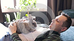 owner holds the rabbit in his arms and strokes. cute video. Home pet. Love to the animals.