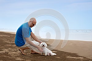 Owner looking to his dog at the beach