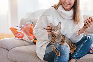 Owner love tenderness girl scratching cat