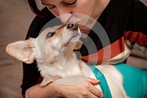Owner loves her sick dog at home, protection after a operation with a recovery suit or body