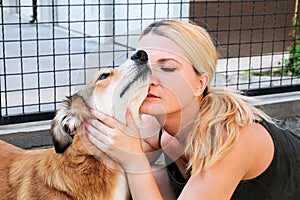 Owner petting dog. Female owner of petting their dog in garden.