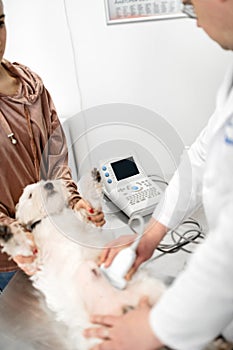 Owner wearing hoodie holding dog during x-ray examination