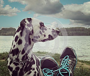 Owner's foots next to the dog -- friendship