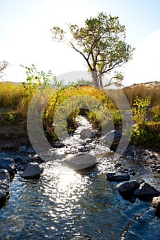 Owyhee River Canyon