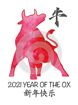 The OX - Second Animal of the Chinese Zodiac
