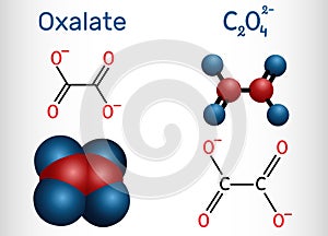 Oxalate anion, ethanedioate molecule.  Structural chemical formula and molecule model