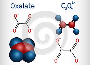 Oxalate anion, ethanedioate molecule.  Structural chemical formula and molecule model photo