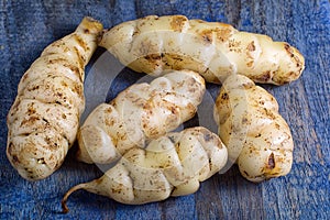 Oxalis tuberosa also known as oca tuber