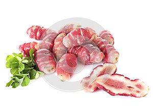 Oxalis tuberosa in studio