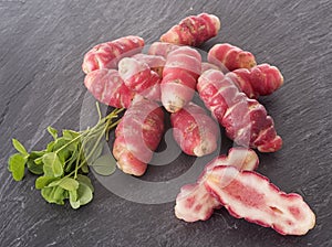 Oxalis tuberosa in studio