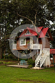 Wooden houses with garden in Oxapampa city photo