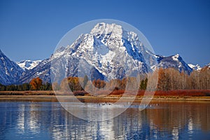 Oxbow Bend viewpoint on mt. Moran, Snake River and its wildlife during autumn, Grand Teton National park, Wyoming