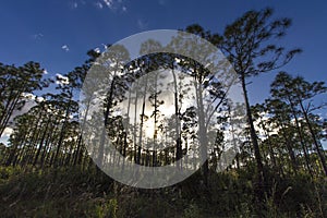 Oxbow eco-center, Fort Pierce, Florida