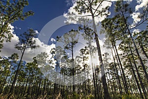 Oxbow eco-center, Fort Pierce, Florida