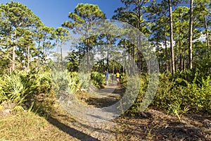 Oxbow eco-center, Fort Pierce, Florida