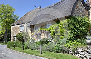 Oxfordshire thatched cottage photo