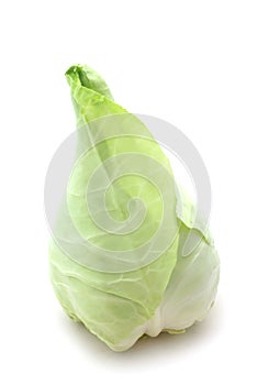 Oxheart Cabbage