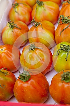 Oxheart tomato at a market stall