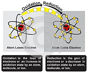 Oxidation and reduction infographic diagram chemistry science education