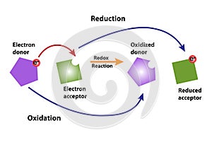 Oxidation and Reduction Redox Reaction photo