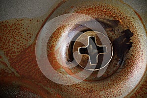Oxidation rust metal screw,