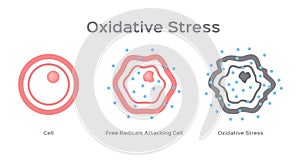 Oxidative Stress cell / free radical photo