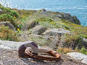 Oxidised iron ring in granite rock for anchoring cannons, horses, beasts, carts and animals on coast