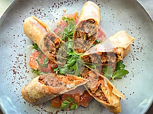 Oxtail Spring Rolls and dip sauce